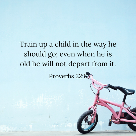 Proverbs 22:6 Pink Bicycle Art Print
