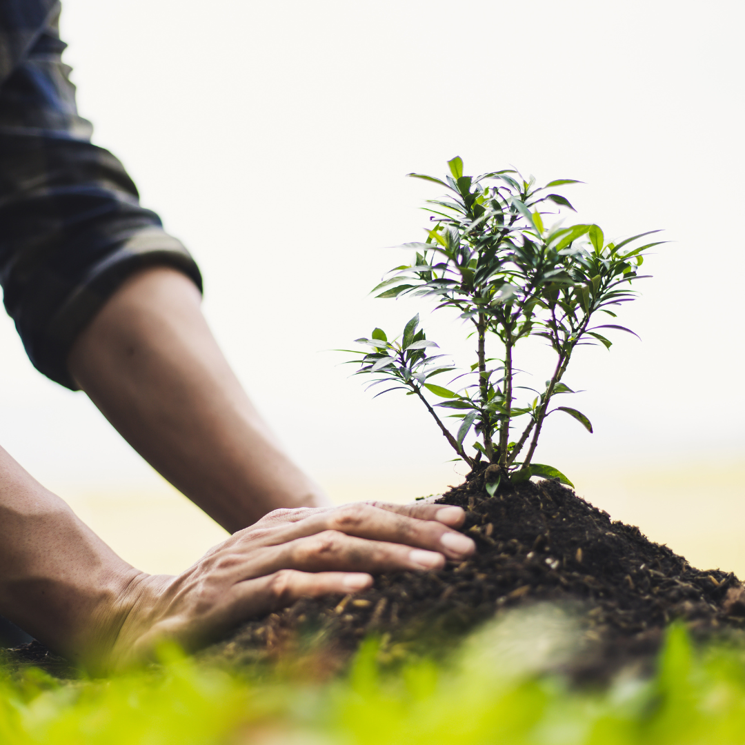 When You Can't See the Fruit: The Eternal Impact of Your Motherhood