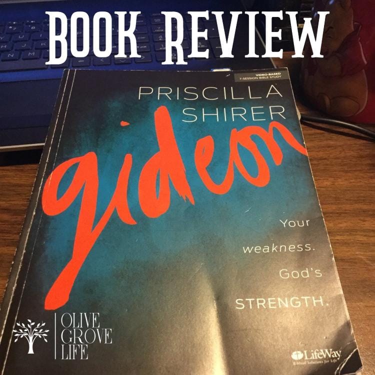 Book Review Gideon Bible study by Priscilla Shirer