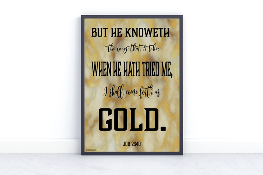 Job 23:10 Art Print