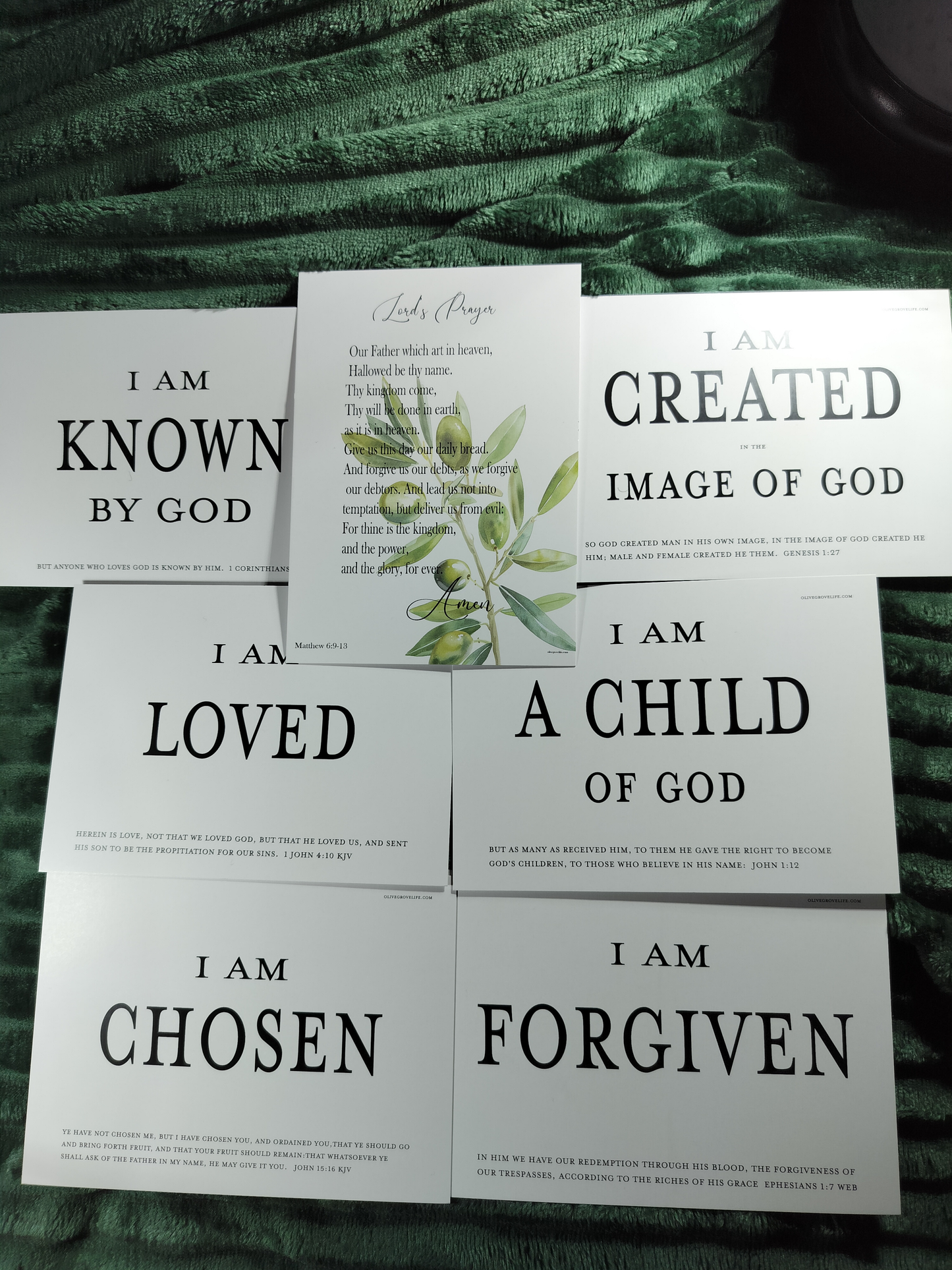 Rooted in Truth – I Am Loved & Chosen