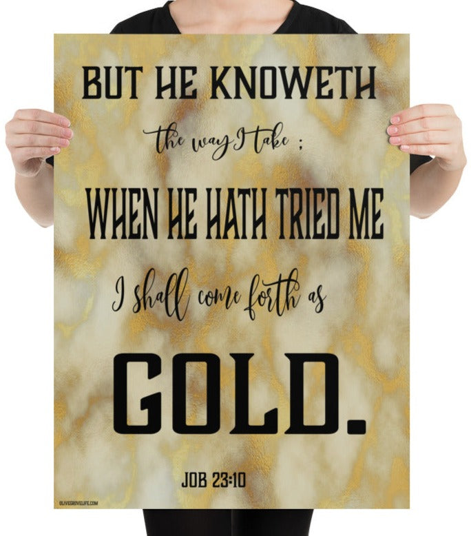 Job 23:10 Art Print